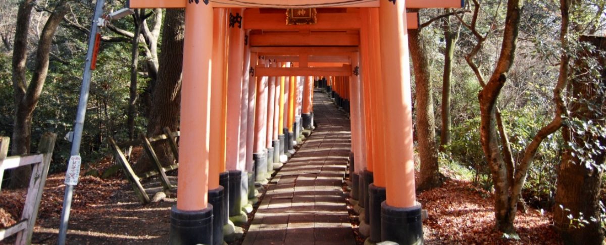 京都観光専門（個人）池井戸タクシー