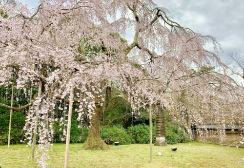 5eMpczxoRmWyPjOCYIh9YQ_thumb_261f