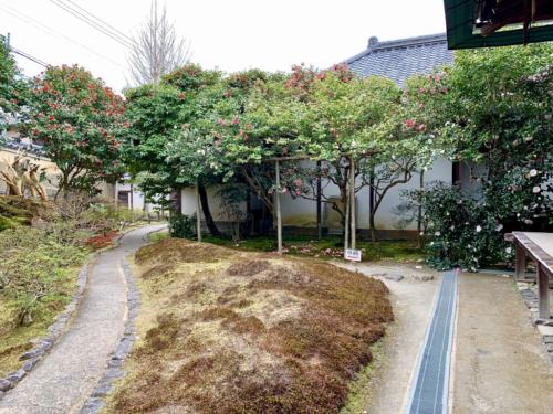 696Gi2HORByJW6%B+lHCZA_thumb_25b5