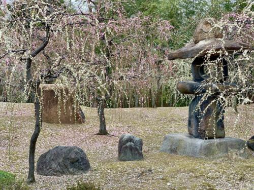 6EE9ThsNTCuQ9xdGEtFWYQ_thumb_24e2