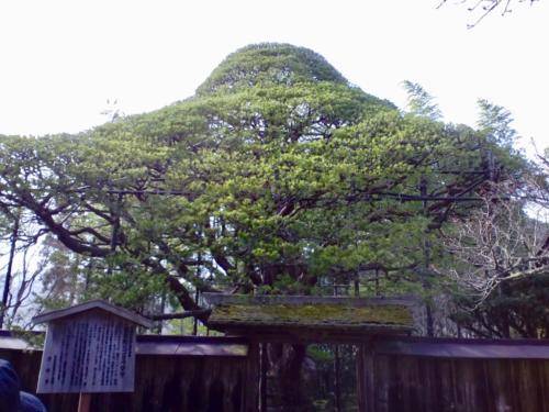 At6U90UxSrSdxneawGUJnw_thumb_173a