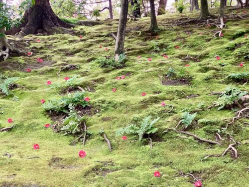 DyEkHdLGT%qnNqWu4VjQtQ_thumb_2503