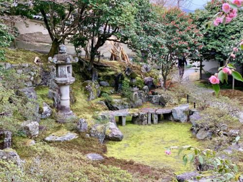 Ecqj37yLTbWcoyY1pTp+GQ_thumb_25d7