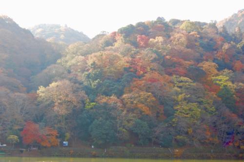 FKe+Gm0hRZaspOdh8PHOiw_thumb_13bf