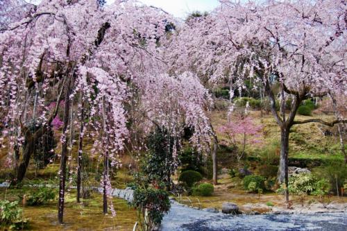 HLLJ9S8SS+aYkim6ZtzUog_thumb_7db