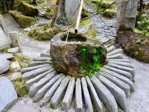 IJRxv7aEQ5e4f3LPbjewoQ_thumb_1742