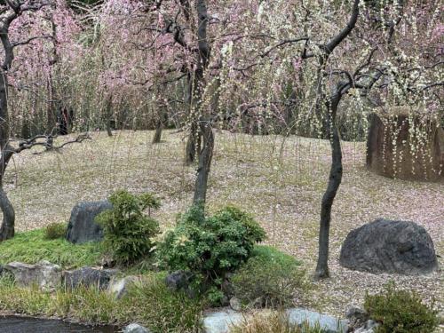 MNq7CZvgSGOi1m54GyGacA_thumb_24fa