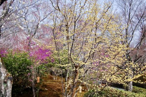 NAT2B0QRRzyKqj95WrKFbA_thumb_7ef