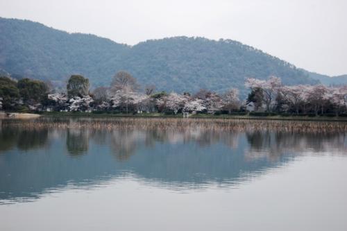 +NiWFOVfRRWUq6x0Vpws+A_thumb_7f9