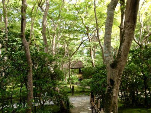 OtEOx3KqRIeXEFPbHWqA9Q_thumb_22f