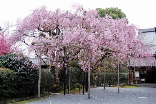 PJ2VbZPISXO3URwfF745dg_thumb_81b