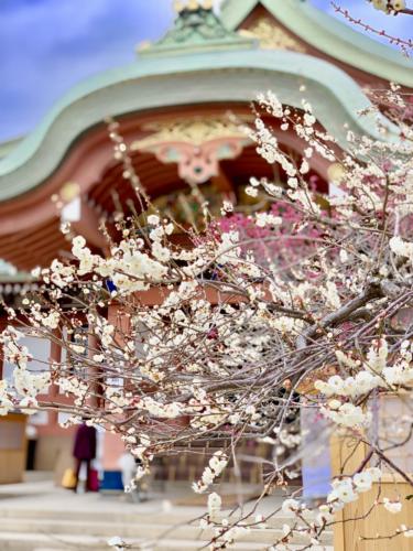 ROyhzhWwS0aQdcyD7DDacQ_thumb_24c1