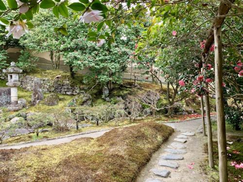 TaZ2KBuJSv6MZ3uFr5o69w_thumb_25be