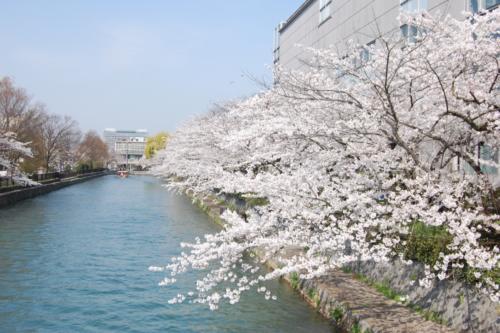 UNADJUSTEDNONRAW_thumb_1369