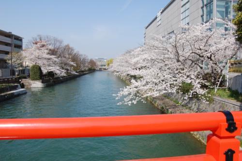 UNADJUSTEDNONRAW_thumb_136a