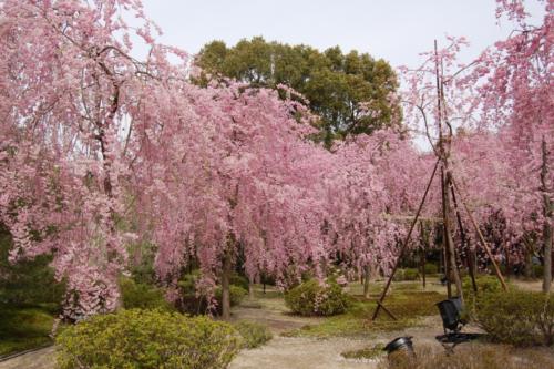 UNADJUSTEDNONRAW_thumb_136b