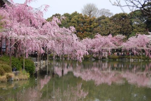 UNADJUSTEDNONRAW_thumb_1371