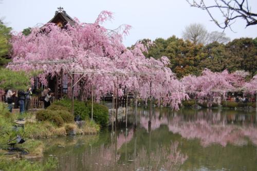 UNADJUSTEDNONRAW_thumb_1372