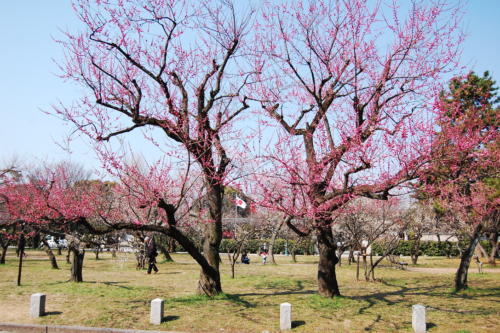 UNADJUSTEDNONRAW_thumb_2539