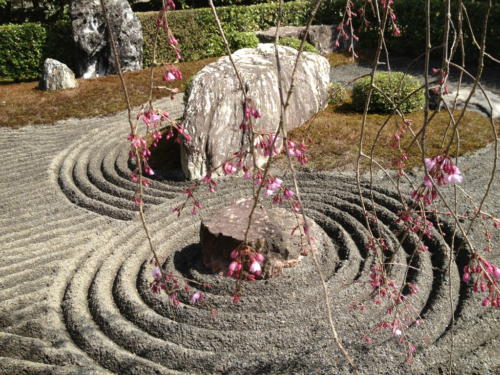 UNADJUSTEDNONRAW_thumb_4e7