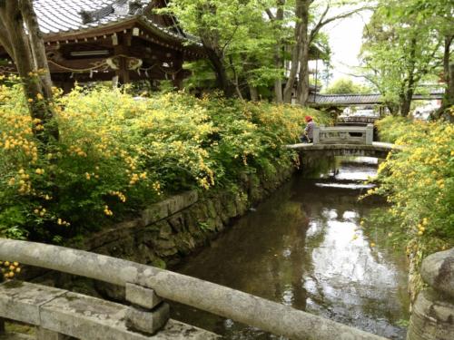 VdtYRJsDTmmQpcXwrHARnQ_thumb_105