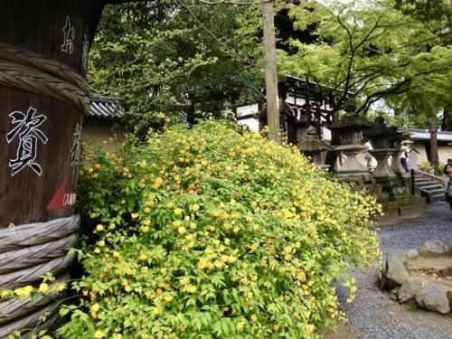 Z6rYn0%HSjuJskyl6OgiLA_thumb_565