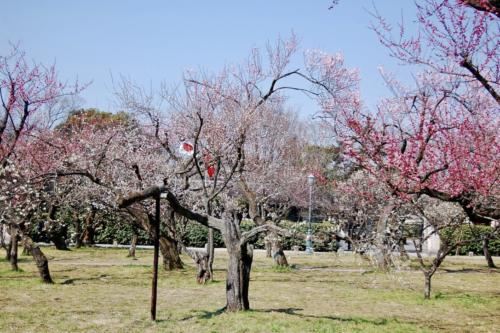 cEFMvViZSWemrcWhMvtyNA_thumb_2537