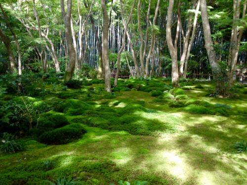 ehVdRocDSF2SE7yWD2YbCg_thumb_23f