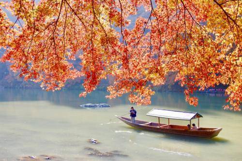 gljm956zQrGnUYuTv9jKvQ_thumb_13ba