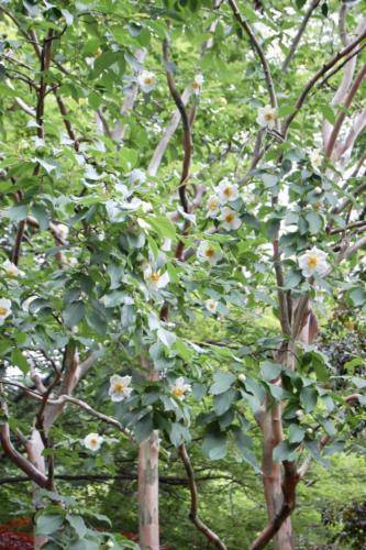 hLsY9QvmSHuRaBRV0DQoEQ_thumb_128c