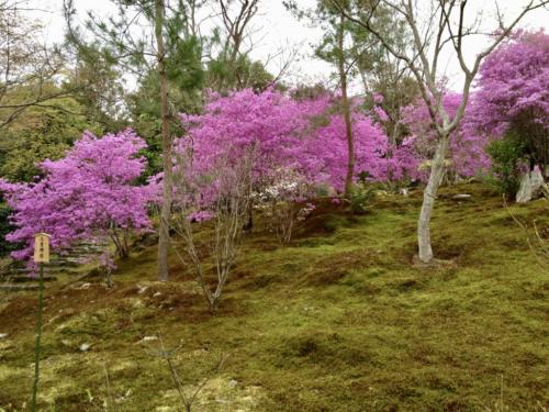 hSyMPpQVTT6W%Qfcixc%3g_thumb_539