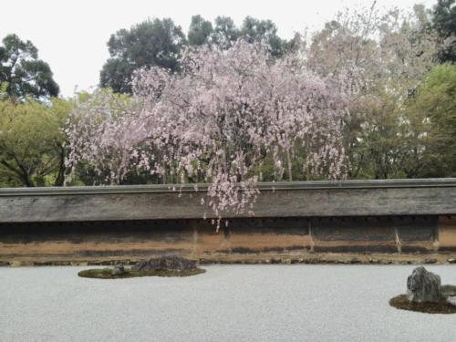 jkKXnhDgS5Waj%UUXatReg_thumb_f3