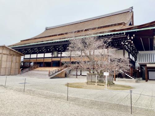 kAWk1rbPTlyn9ztpRVMuAQ_thumb_2561