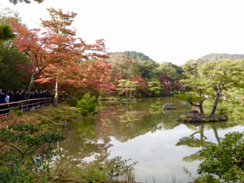 kHBNxH2NTC6qSSRnOdM5hQ_thumb_29d