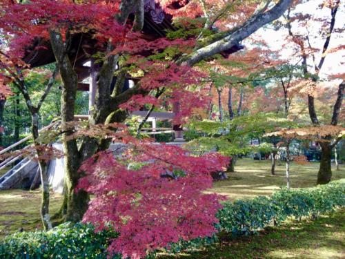 kqfACWklRfS2Y+LxYjm9rA_thumb_2a3