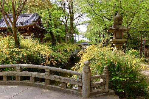 l1S04pAKQCq28mLjwkvuGw_thumb_137d