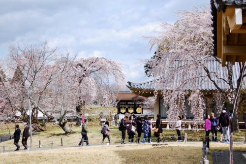 lcxa67DCQaONPHQ9YiXtZg_thumb_264b