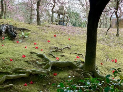 mp5C9Sk0T2y%sr9XZslkdQ_thumb_24f3