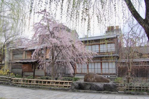 pEz+gxWzR9+zj8XwCvVTqQ_thumb_1353