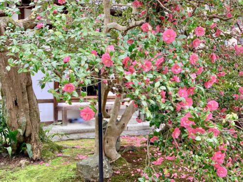 q6tMl3SWSdWPM575vp+5iw_thumb_25d9