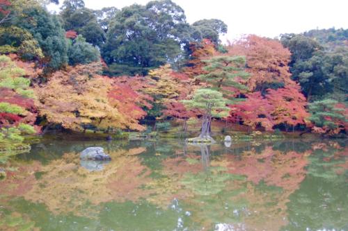 rc%+4prfTz+VCONMuK6FoQ_thumb_1315