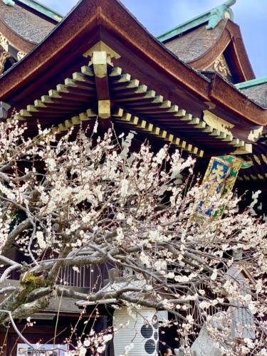 uOGyE72qT3KPveDHCpvj+g_thumb_24cf