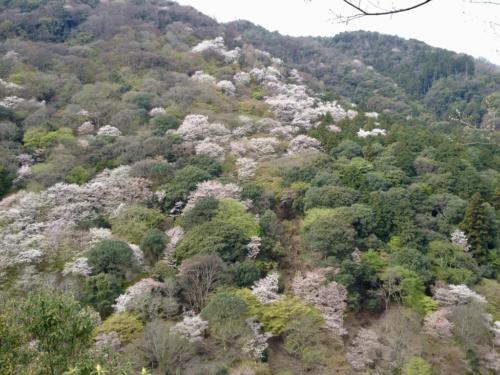 v14saA2cTrCYU4zGO8ah9A_thumb_e1