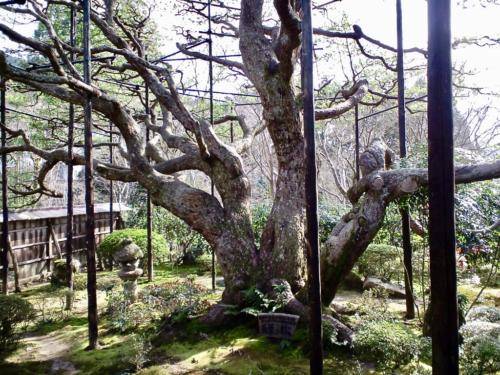 waHqkSjbSQa5FBzySYU+hw_thumb_173d