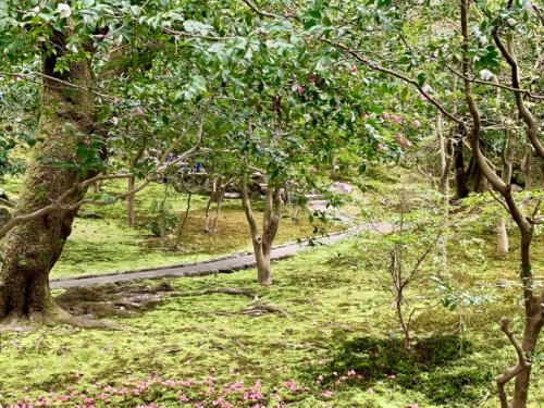 xL7gfHTXQ8OrndIHIPRPqA_thumb_25a9