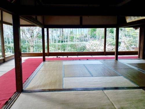 xafmmE6ZQgOq55LfSd35bg_thumb_173f