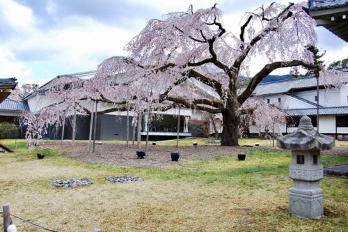 y2BmQkL6ToiC+ANKZ2nY3g_thumb_263a