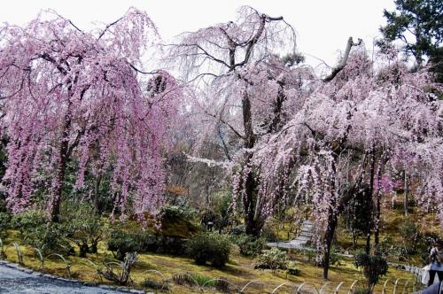 275UyVsVTZ6gIuG+iBmIyg thumb 7d5