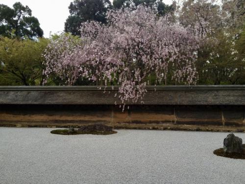 2bXhTninTnO+LPwAnj4QlQ thumb f1