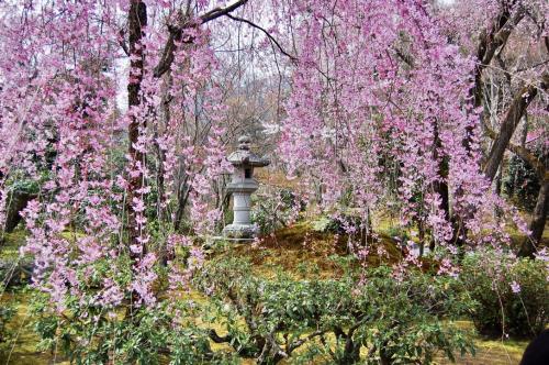 5n4jGcVWRd6amRAgVX7nhQ thumb 7d7